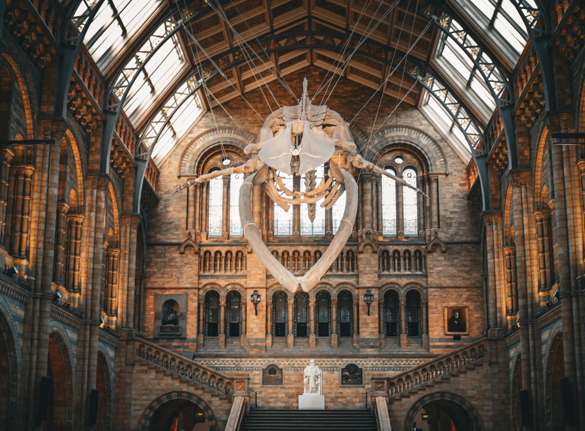 Collingham Place Apartments Londra Esterno foto